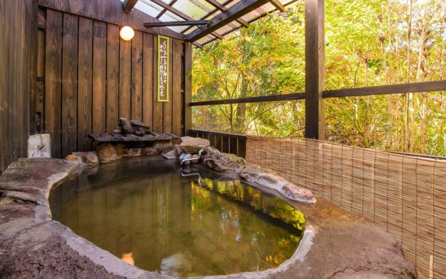 Sujiyu Onsen Kujyu Iyashi no Sato Hotel Dai Kogen