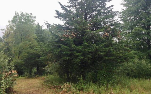 Tentrr - Clove Mountain Meadow