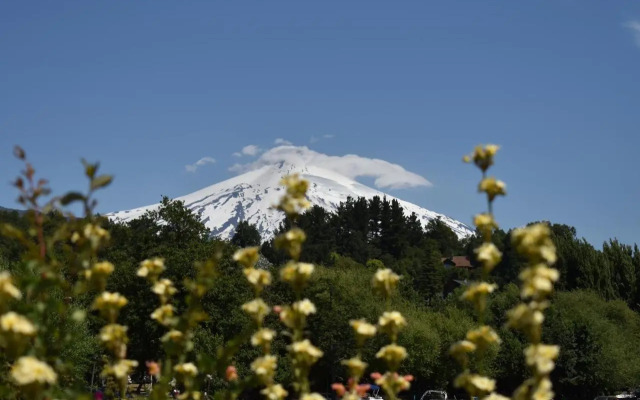 Terra Newen Pucon Family Suites