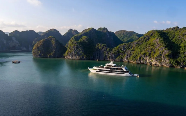 Stellar of the Seas