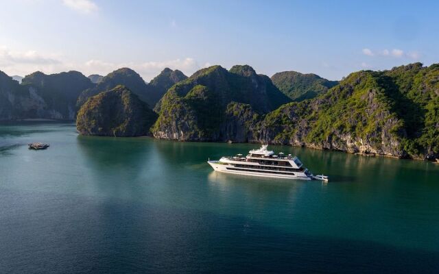 Stellar of the Seas