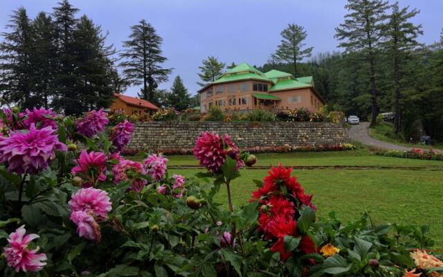 Pine Park Glade Resort Shogran