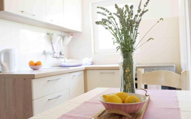Apartment Ponoš