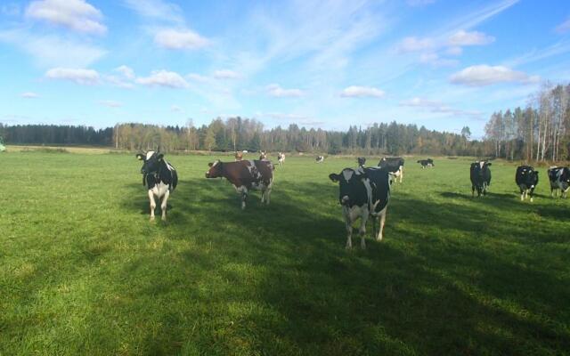 Maatilamatkailu Peräkangas