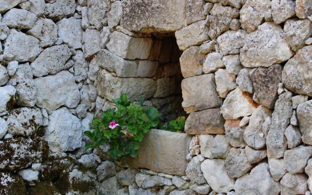 Tenuta Pigliano