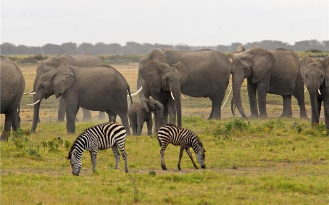 Kenya Safari – Kenya Classic Keekorok (6 Nights)