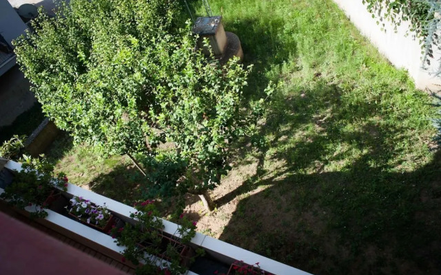 Il Giglio Dei Sassi