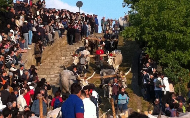 La Cantina del Convento