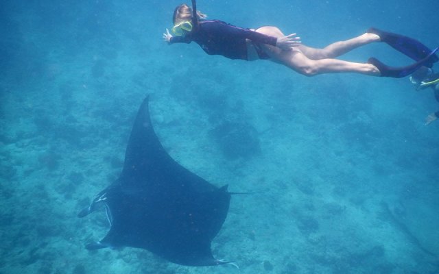 Omadhoo Coral View Inn