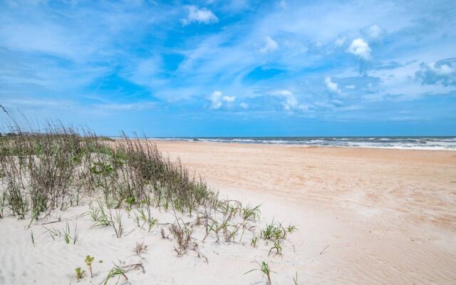 Another Endless Summer on B Street