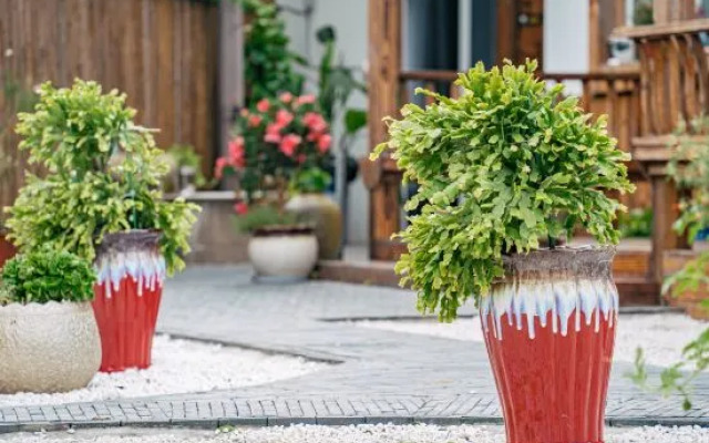 Shanghai Star Villa Garden Homestay