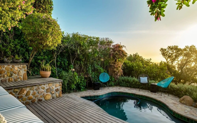 The Palm in Cape Town