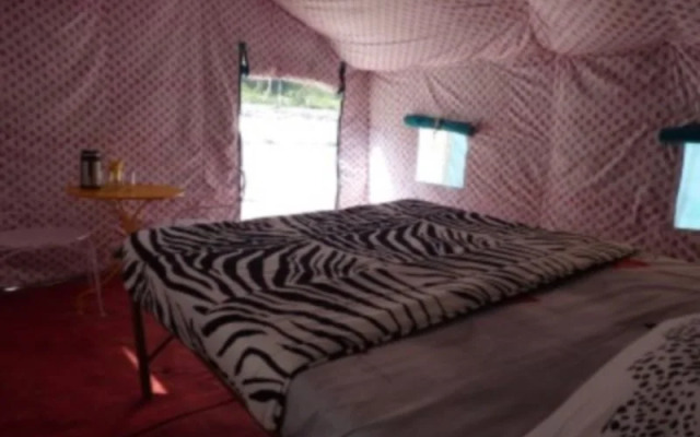 Mogli Camps