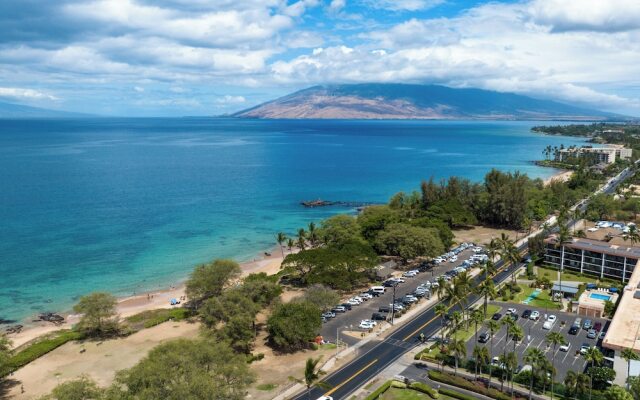 Calina's Maui Parkshore Kam lll