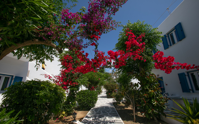 Acrogiali Beachfront Hotel