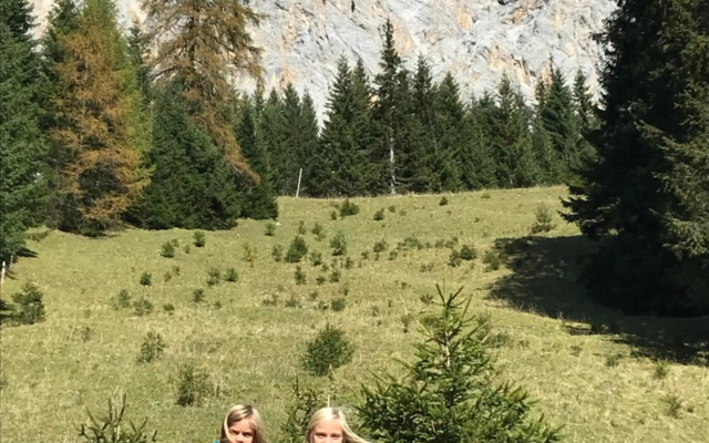 Pony-Ziegen-Hasen-Ranch Bichlbach