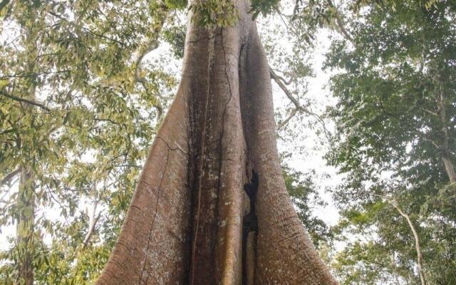 Amazonia Jungle Hotel