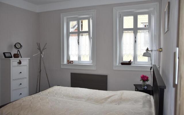 Apartment Therme Natur - Ferienhaus "Zum Goldenen Löwen"