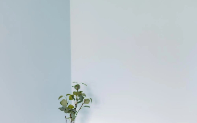 Super Apart Bobrowiecka 3