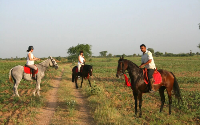 Mihir Garh