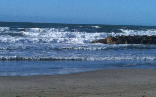 L’Hôtel restaurant LE GEDEON