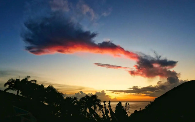 Studio Malacca et Malanga- Ô Cœur de Deshaies