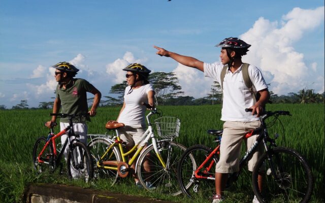 Komaneka at Monkey Forest