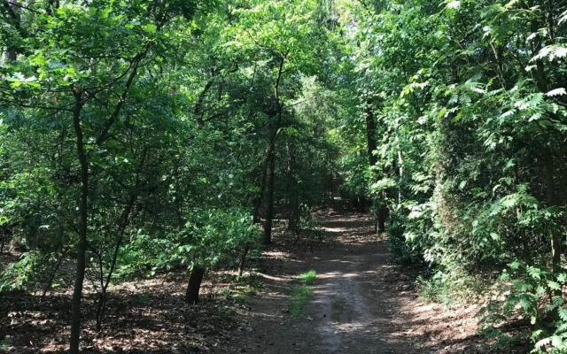 Natuurpark Hoefbos Boshuisje Veluwe