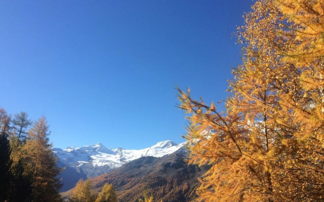 Bergfreude Saas-grund