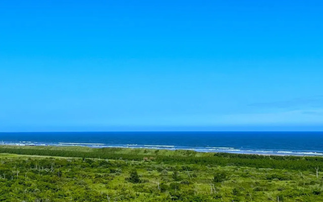 Luana Hasunuma HOTEL&CAFE