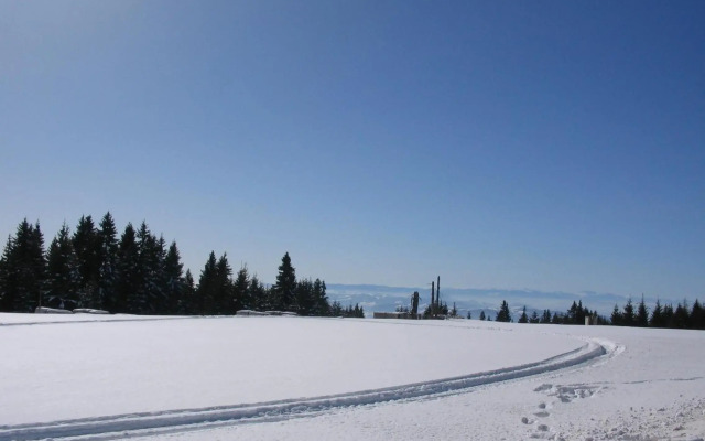 Villa Kostic Kopaonik