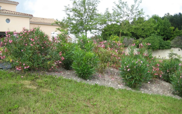 Chic Apartment in Segonzac With Swimming Pool