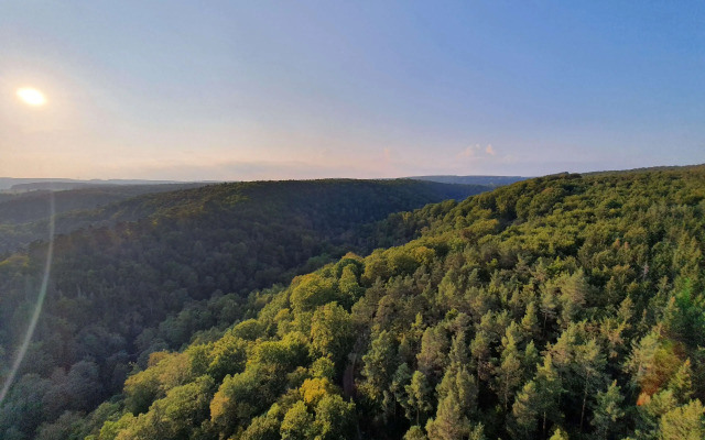 Best Western Plus BierKulturHotel Schwanen