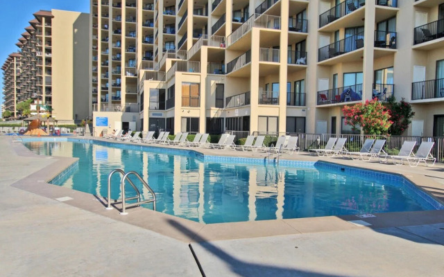 Phoenix V1008 by Youngs Suncoast