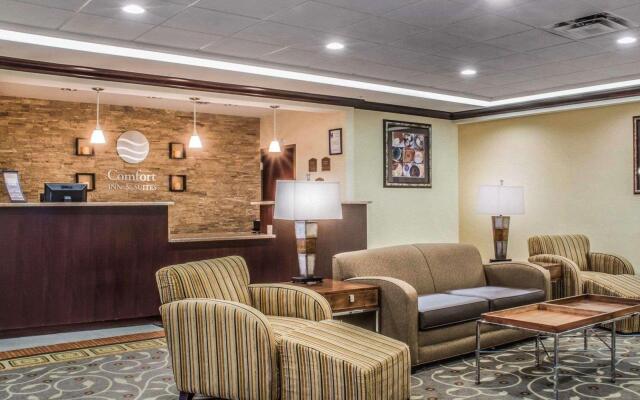 Comfort Inn & Suites Farmington - Victor