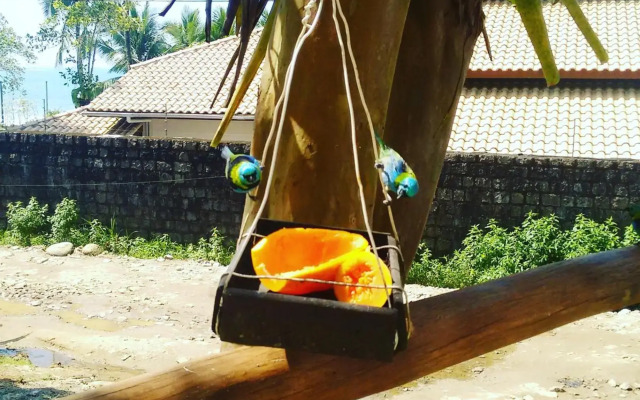 Suites Brilho do Sol