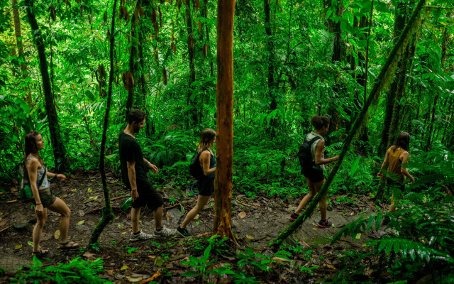 Vida Mountain Resort & Spa - Adults Only