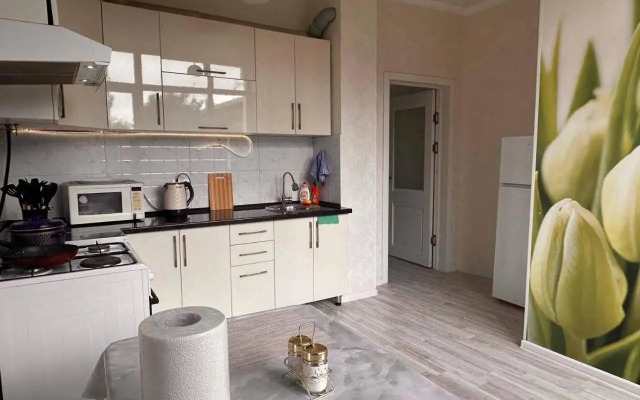 apartments "Harmony" on sydykova st 156а