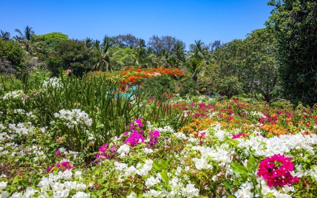 Diani Sea Resort