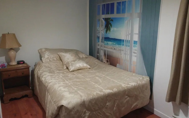 Le relaxant 4 et demi du centre-ville