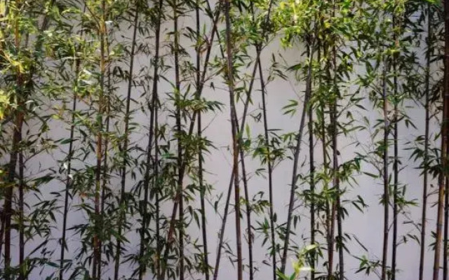 Tianjin Private Courtyard (Caxiaxuan Branch)