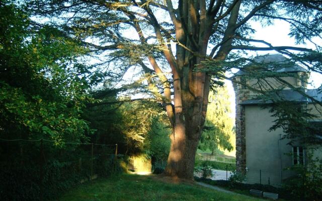 Chambres d'Hôtes Castel Des Cèdres