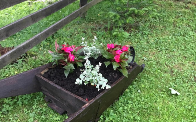 Apartamenty i pokoje u Staszelów