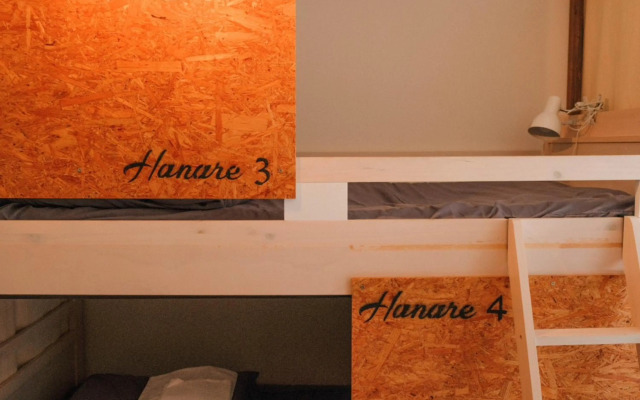 Traditional Apartment - Hostel