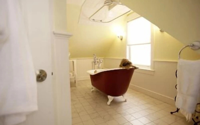 The Stepping Stones Inn