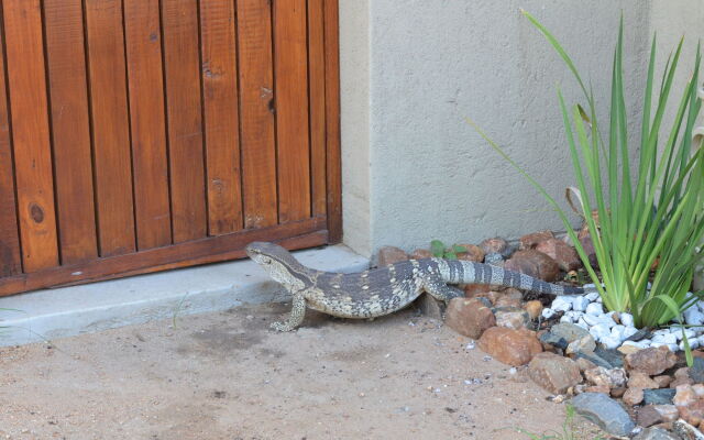 The Baobab Bush Lodge