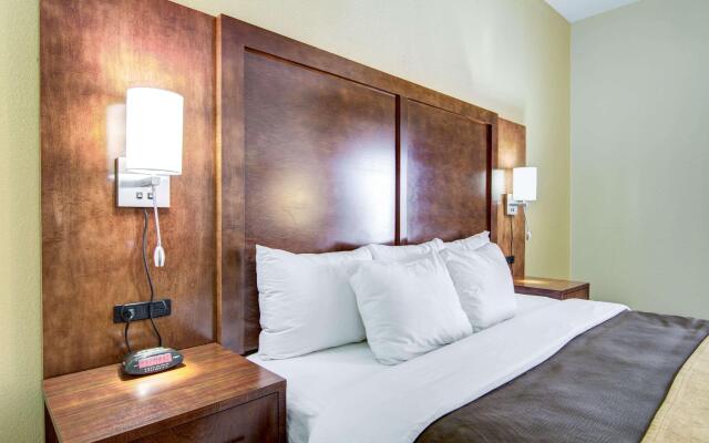 Comfort Inn And Suites Athens