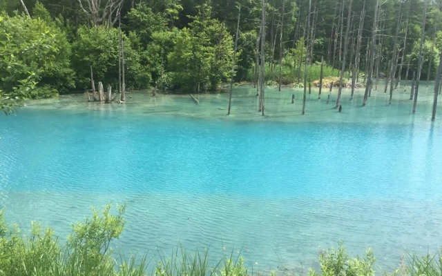 Ueda Building - Vacation STAY 8554