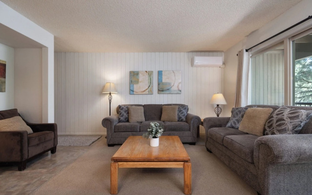 Ponderosa Vista Resort Condo!