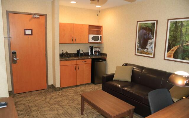 Best Western Plus Valemount Inn & Suites